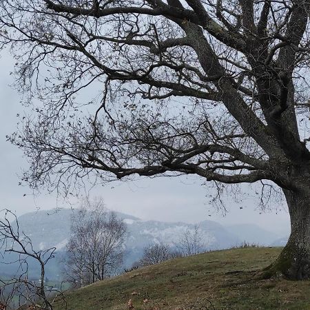 Gite Des 3 Arbres Aramits Exteriér fotografie